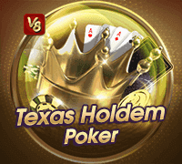 Texas Hold'em Poker